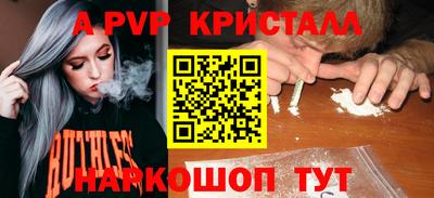 стафф Будённовск