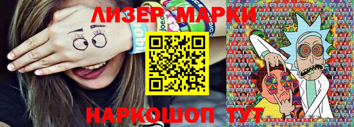 МЕФ Санкт-Петербург