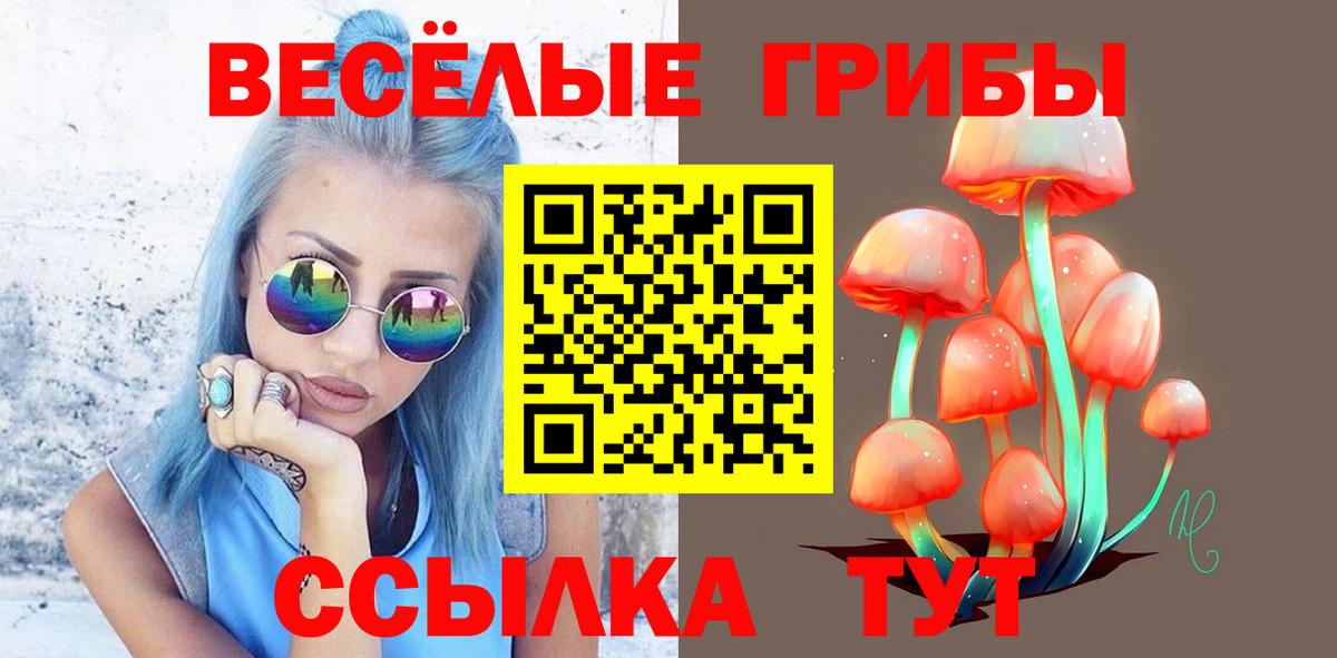 Санкт-Петербург  Псилоцибиновые грибы Psilocybe  Вход с VPN 